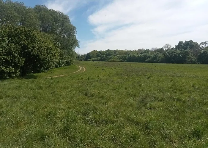 شقة Stadtgruen 2, Ruhiges Mit Terrasse Und Kostenlosem Parkplatz, Ideal Fuer Berlin-besucher