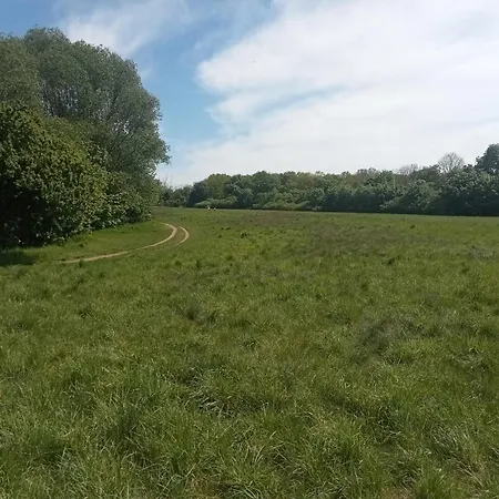 Apartamento Stadtgruen 2